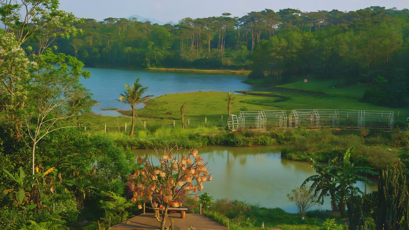 https://files.locallife.asia/images/800/1765030216906-Thiết kế chưa có tên (17).png